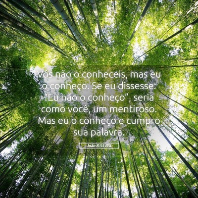Picture 05 - João 8:55 BSL - Vós não o conheceis, mas eu o conheço. Se eu - Bible Verse Picture