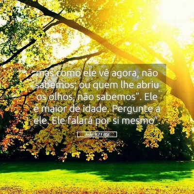Picture 05 - João 9:21 BSL - mas como ele vê agora, não sabemos; ou quem lhe - Bible Verse Picture