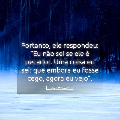 Picture 05 - João 9:25 BSL - Portanto, ele respondeu: “Eu não sei se ele é - Bible Verse Picture