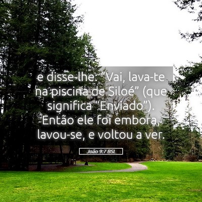 Picture 05 - João 9:7 BSL - e disse-lhe: “Vai, lava-te na piscina de - Bible Verse Picture