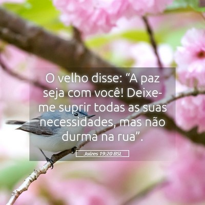 Picture 05 - Juízes 19:20 BSL - O velho disse: “A paz seja com você! Deixe-me - Bible Verse Picture