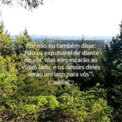 Picture 05 - Juízes 2:3 BSL - Por isso eu também disse: 'Não os expulsarei de - Bible Verse Picture