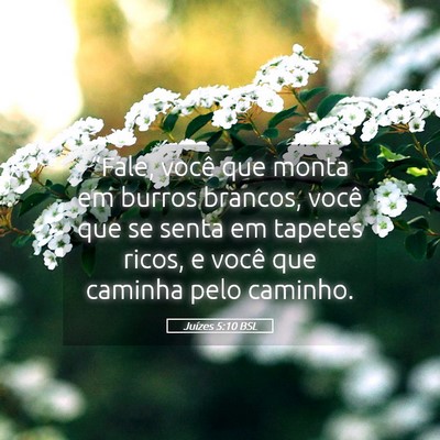 Picture 05 - Juízes 5:10 BSL - “Fale, você que monta em burros brancos, você - Bible Verse Picture