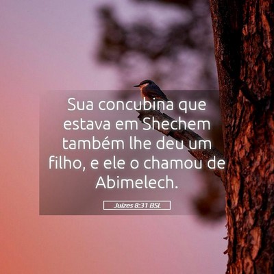 Picture 05 - Juízes 8:31 BSL - Sua concubina que estava em Shechem também lhe - Bible Verse Picture
