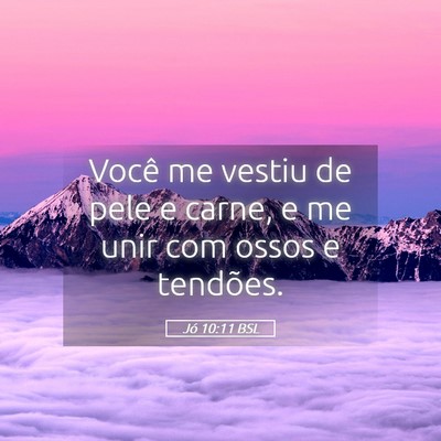 Picture 05 - Jó 10:11 BSL - Você me vestiu de pele e carne, e me unir com - Bible Verse Picture