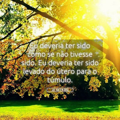 Picture 05 - Jó 10:19 BSL - Eu deveria ter sido como se não tivesse sido. Eu - Bible Verse Picture