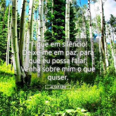 Picture 05 - Jó 13:13 BSL - “Fique em silêncio! Deixe-me em paz, para que - Bible Verse Picture