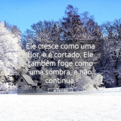 Picture 05 - Jó 14:2 BSL - Ele cresce como uma flor, e é cortado. Ele - Bible Verse Picture