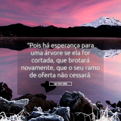 Picture 05 - Jó 14:7 BSL - “Pois há esperança para uma árvore se ela - Bible Verse Picture