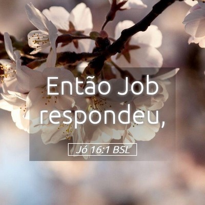 Picture 05 - Jó 16:1 BSL - Então Job - Bible Verse Picture
