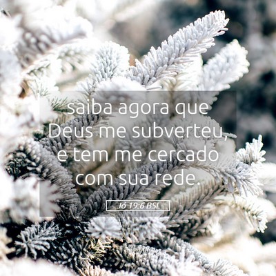 Picture 05 - Jó 19:6 BSL - saiba agora que Deus me subverteu, e tem me - Bible Verse Picture