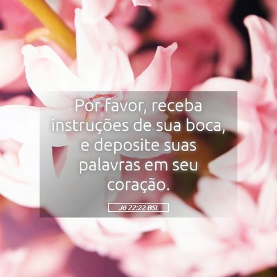 Picture 05 - Jó 22:22 BSL - Por favor, receba instruções de sua boca, e - Bible Verse Picture