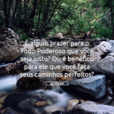 Picture 05 - Jó 22:3 BSL - É algum prazer para o Todo-Poderoso que você - Bible Verse Picture