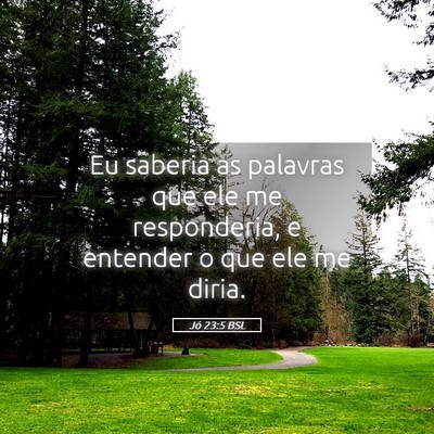 Picture 05 - Jó 23:5 BSL - Eu saberia as palavras que ele me responderia, e - Bible Verse Picture