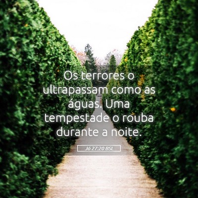 Picture 05 - Jó 27:20 BSL - Os terrores o ultrapassam como as águas. Uma - Bible Verse Picture