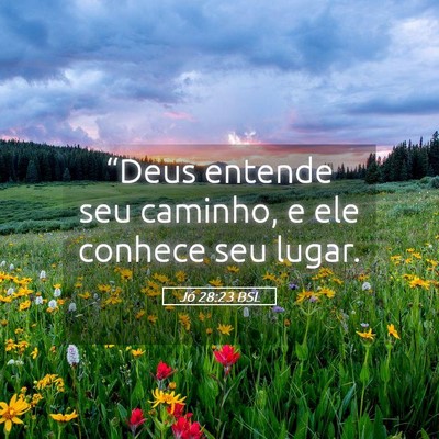 Picture 05 - Jó 28:23 BSL - “Deus entende seu caminho, e ele conhece seu - Bible Verse Picture