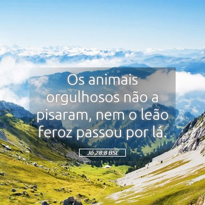 Picture 05 - Jó 28:8 BSL - Os animais orgulhosos não a pisaram, nem o leão - Bible Verse Picture