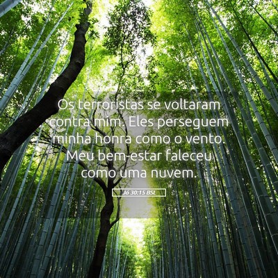 Picture 05 - Jó 30:15 BSL - Os terroristas se voltaram contra mim. Eles - Bible Verse Picture