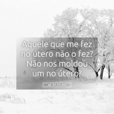 Picture 05 - Jó 31:15 BSL - Aquele que me fez no útero não o fez? Não nos - Bible Verse Picture
