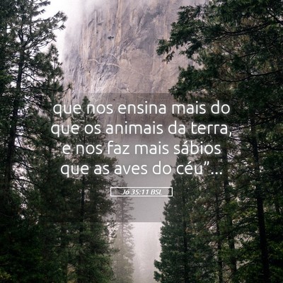 Picture 05 - Jó 35:11 BSL - que nos ensina mais do que os animais da terra, e - Bible Verse Picture