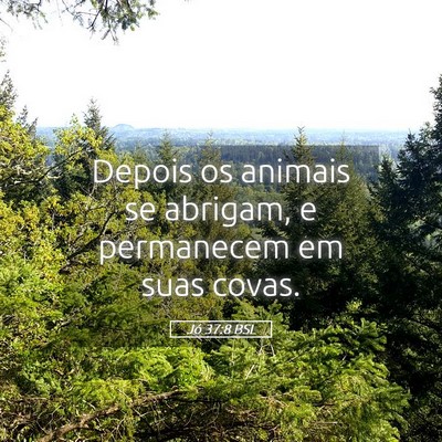 Picture 05 - Jó 37:8 BSL - Depois os animais se abrigam, e permanecem em - Bible Verse Picture