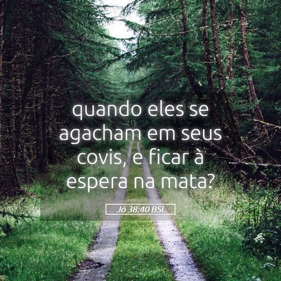 Picture 05 - Jó 38:40 BSL - quando eles se agacham em seus covis, e ficar à - Bible Verse Picture