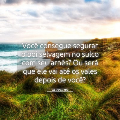 Picture 05 - Jó 39:10 BSL - Você consegue segurar o boi selvagem no sulco - Bible Verse Picture