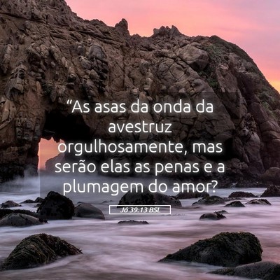 Picture 05 - Jó 39:13 BSL - “As asas da onda da avestruz orgulhosamente, - Bible Verse Picture
