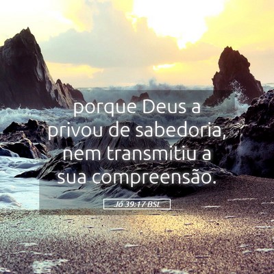 Picture 05 - Jó 39:17 BSL - porque Deus a privou de sabedoria, nem transmitiu - Bible Verse Picture