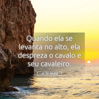 Picture 05 - Jó 39:18 BSL - Quando ela se levanta no alto, ela despreza o - Bible Verse Picture