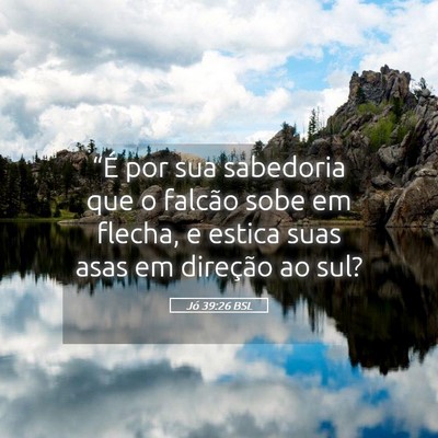 Picture 05 - Jó 39:26 BSL - “É por sua sabedoria que o falcão sobe em - Bible Verse Picture