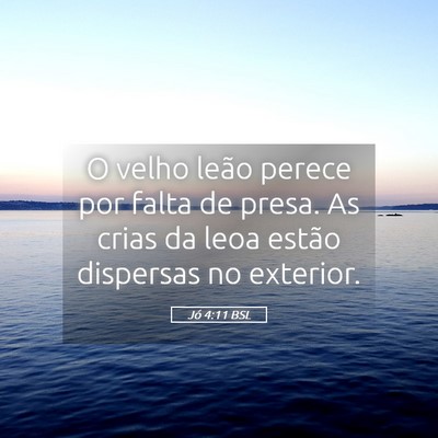 Picture 05 - Jó 4:11 BSL - O velho leão perece por falta de presa. As crias - Bible Verse Picture