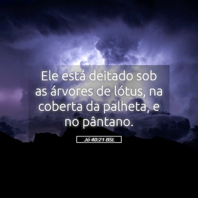 Picture 05 - Jó 40:21 BSL - Ele está deitado sob as árvores de lótus, na - Bible Verse Picture