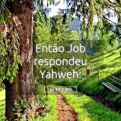 Picture 05 - Jó 42:1 BSL - Então Job respondeu - Bible Verse Picture