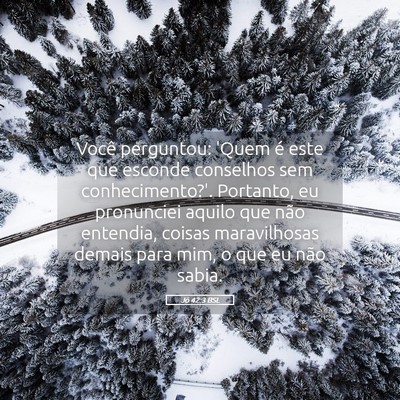 Picture 05 - Jó 42:3 BSL - Você perguntou: 'Quem é este que esconde - Bible Verse Picture