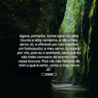 Picture 05 - Jó 42:8 BSL - Agora, portanto, tomai para vós sete touros e - Bible Verse Picture