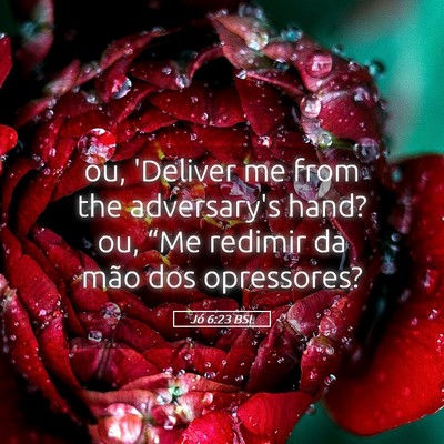 Picture 05 - Jó 6:23 BSL - ou, 'Deliver me from the adversary's hand? ou, - Bible Verse Picture