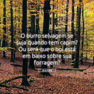 Picture 05 - Jó 6:5 BSL - O burro selvagem se suja quando tem capim? Ou - Bible Verse Picture