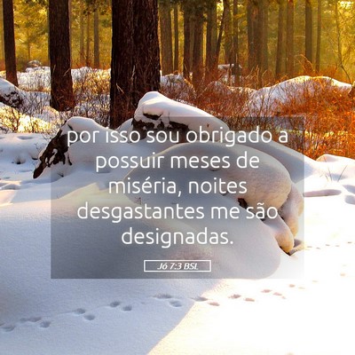 Picture 05 - Jó 7:3 BSL - por isso sou obrigado a possuir meses de - Bible Verse Picture