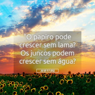 Picture 05 - Jó 8:11 BSL - “O papiro pode crescer sem lama? Os juncos - Bible Verse Picture