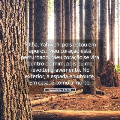 Picture 05 - Lamentações 1:20 BSL - “Olha, Yahweh; pois estou em apuros. Meu - Bible Verse Picture