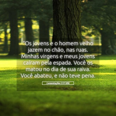 Picture 05 - Lamentações 2:21 BSL - “Os jovens e o homem velho jazem no chão, nas - Bible Verse Picture