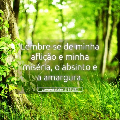 Picture 05 - Lamentações 3:19 BSL - Lembre-se de minha aflição e minha miséria, o - Bible Verse Picture