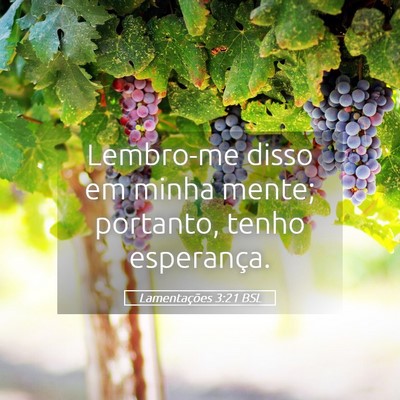 Picture 05 - Lamentações 3:21 BSL - Lembro-me disso em minha mente; portanto, tenho - Bible Verse Picture