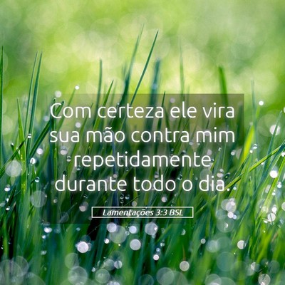 Picture 05 - Lamentações 3:3 BSL - Com certeza ele vira sua mão contra mim - Bible Verse Picture