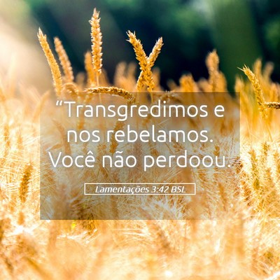 Picture 05 - Lamentações 3:42 BSL - “Transgredimos e nos rebelamos. Você não - Bible Verse Picture