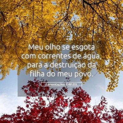 Picture 05 - Lamentações 3:48 BSL - Meu olho se esgota com correntes de água, para a - Bible Verse Picture