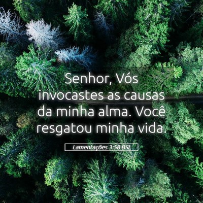 Picture 05 - Lamentações 3:58 BSL - Senhor, Vós invocastes as causas da minha alma. - Bible Verse Picture