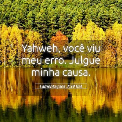 Picture 05 - Lamentações 3:59 BSL - Yahweh, você viu meu erro. Julgue minha - Bible Verse Picture