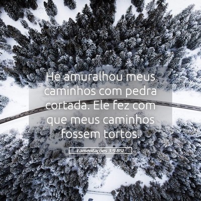 Picture 05 - Lamentações 3:9 BSL - He amuralhou meus caminhos com pedra cortada. Ele - Bible Verse Picture